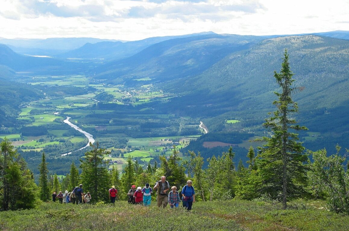 En gruppe mennesker går tur oppover Fonnåsfjellet i Rendalen.