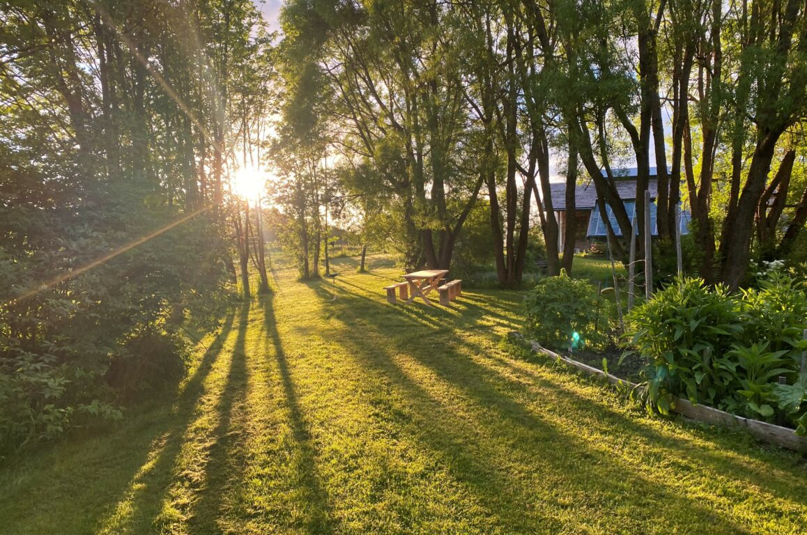 Solstråler fra kveldssolen som skinner innover hagen